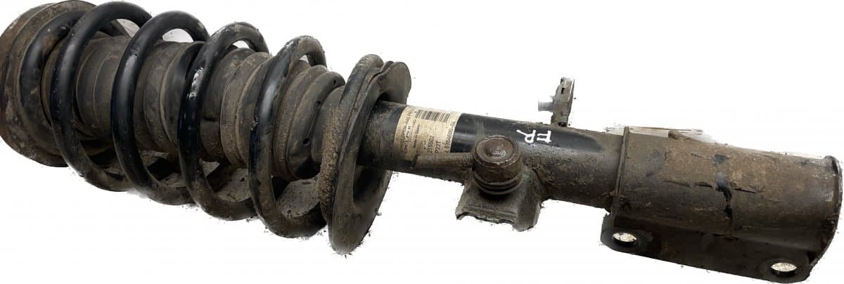 BMW Suspension Leg Front Right BMW X5 (E53) (2000-2007)