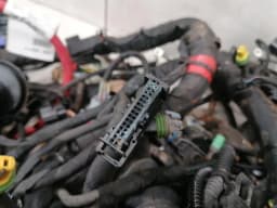 FERRARI FERRARI 458 F142 Spider Wiring Loom MAIN — thumbnail 8