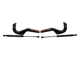 FERRARI FERRARI F355 F129 SPIDER Boot hinge 64104100 — thumbnail 1