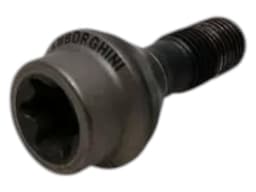 LAMBORGHINI LAMBORGHINI HURACAN LP640 EVO SPYDER 403601295C Titanium wheel bolt SET — thumbnail 7