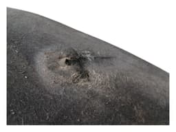 FERRARI FERRARI FF F151 Front Left Arch Cover 83296800 — thumbnail 5
