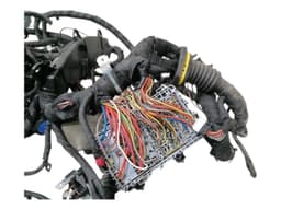FERRARI FERRARI PORTOFINO F164 Wiring Loom MAIN — thumbnail 6