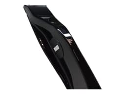 FERRARI FERRARI PUROSANGUE F175 875657 LOWER RH B PILLAR TRIM — thumbnail 9