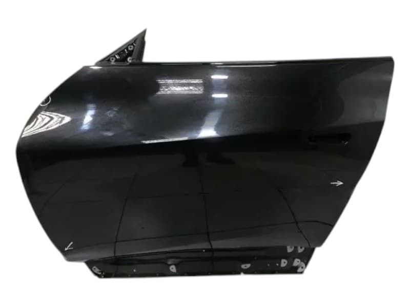 FERRARI FERRARI PUROSANGUE F175 Left Front Door 985816564