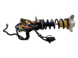 FERRARI FERRARI PUROSANGUE F175 Shock Absorber Rear 785515 LEFT — thumbnail 2