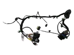 FERRARI FERRARI PUROSANGUE F175 Wiring Loom 847923 RL DOOR — thumbnail 1