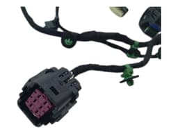 FERRARI FERRARI PUROSANGUE F175 Wiring Loom 845641 FL DOOR — thumbnail 2