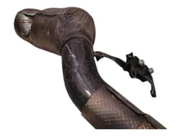 FERRARI FERRARI F12 BERLINETTA F152 Left Catalytic Converter 275463 — thumbnail 3