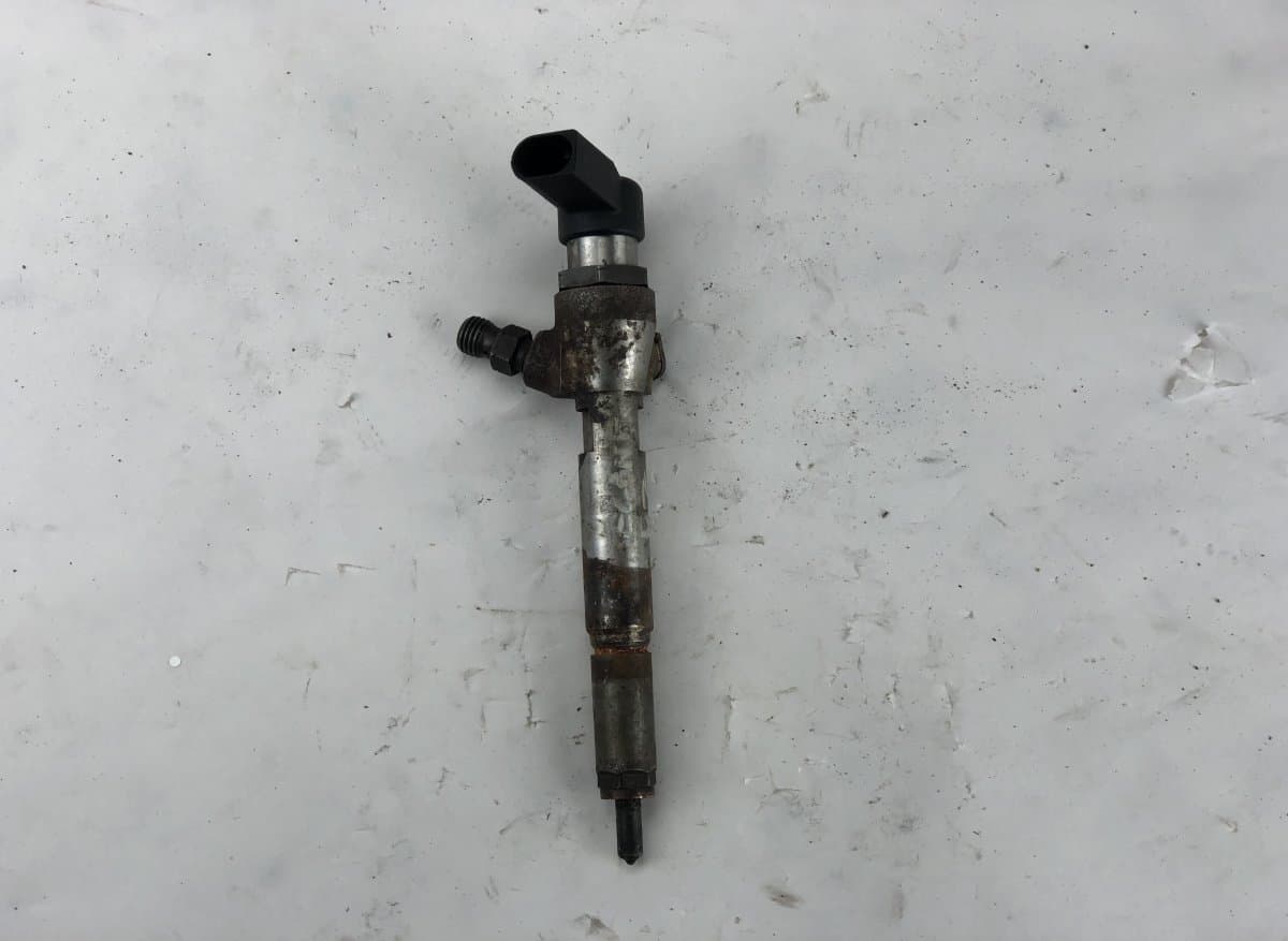 RENAULT H8200294788 Fuel Injector RENAULT SCENIC III (JZ0) (2009-2016)