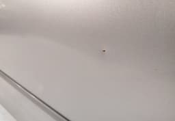 MAZDA Door Front Right MAZDA 6 (GG, GY) (2002-2007) — thumbnail 2