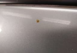 HONDA Door Rear Left HONDA STREAM I (2001-2005) — thumbnail 4