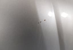 AUDI 4H0823029E Bonnet AUDI A8 (4E) (2002-2010) — thumbnail 4