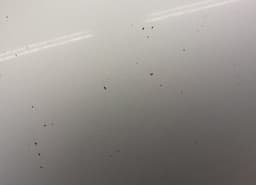 TOYOTA 533010F010 Bonnet TOYOTA COROLLA Verso II (AR10) (2004-2009) — thumbnail 3