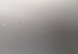 AUDI 4E0823029P 4D0853825B Bonnet AUDI A8 (4D2, 4D8) (1994-2002) — thumbnail 3