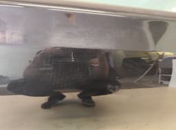 VW 5K4831056H Door Front Right VW GOLF VI (5K) (2008-2013) — thumbnail 2