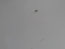 MERCEDES-BENZ A2218800157 2218800157 Bonnet MERCEDES-BENZ S-CLASS (W221) (2005-2013) — thumbnail 7
