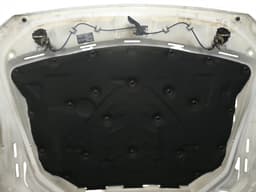 BMW 7207194 Bonnet BMW 5 (F10, F11) (2010-2017) — thumbnail 7