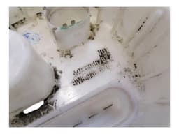 BENTLEY BENTLEY FLYING SPUR MK2 13-19 Fuel Pump Electric 4W0201021K — thumbnail 5