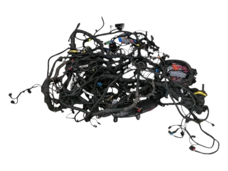 FERRARI FERRARI ROMA F169 Wiring Loom RHD MAIN