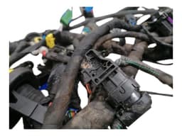FERRARI FERRARI ROMA F169 Wiring Loom RHD MAIN — thumbnail 9