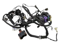 FERRARI FERRARI F430 430 F131 SCUDERIA 16M Wiring Loom 233832 Front Wiring Loom — thumbnail 1