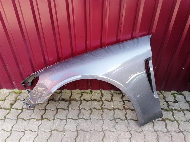 PORSCHE Porsche Panamera 971 Left Wing 971821102 Front Left Fender