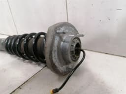 PORSCHE Porsche Cayman 718 Shock Absorber Front 982412021B Shock Absorber Front PASM — thumbnail 8