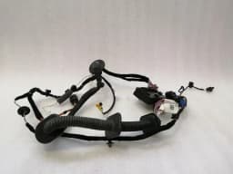 PORSCHE Porsche Boxster 718 Wiring Loom 9P4971030AP Wiring Harness RIGHT DOOR WIRING — thumbnail 1