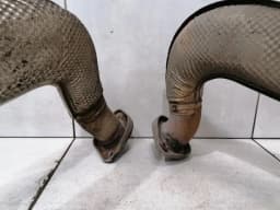 PORSCHE Porsche Cayman 718 Exhaust Silencer 982251051D Exhaust Muffler — thumbnail 8