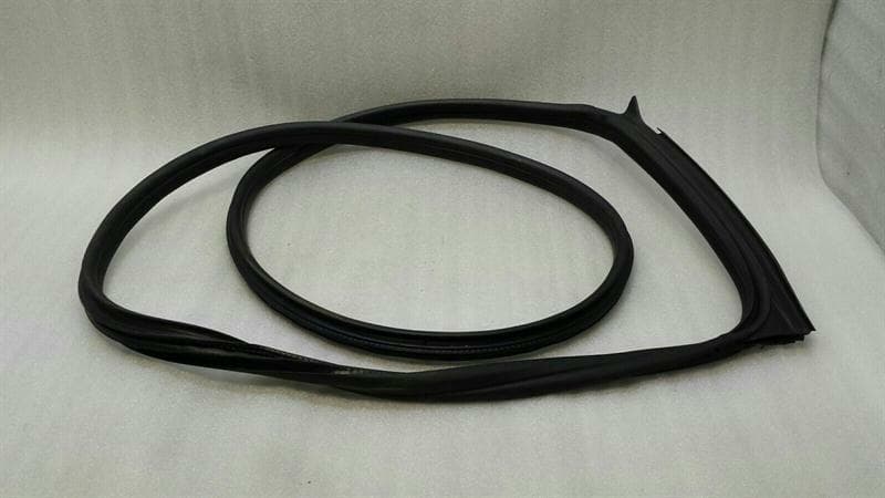 MINI Mini Cooper F56 Right Door Seal 7300030 Right Door Seals