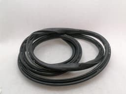 TESLA Tesla Model S 75 Rear Right Door Seal 6009586-00-I Door Seals Rear Right — thumbnail 2