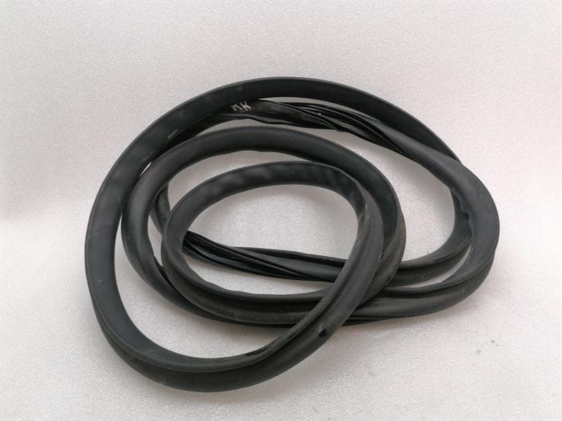 TESLA Tesla Model S 75 Rear Right Door Seal 6009586-00-I Door Seals Rear Right