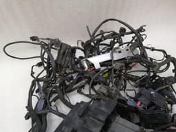 BMW BMW R1250RT K52 Wiring 61119467238 Harness X113 - Authorities USA MAIN WIRING — thumbnail 3