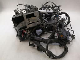 BMW BMW R1250RT K52 Wiring 61119467238 Harness X113 - Authorities USA MAIN WIRING — thumbnail 1