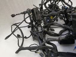 BMW BMW R1250RT K52 Wiring 61119467238 Harness X113 - Authorities USA MAIN WIRING — thumbnail 9