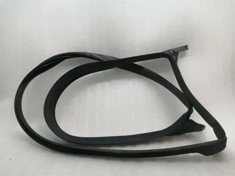 TESLA TESLA MODEL 3 LONG RANGE FRH Door Seal 1090500-00-N Front Right Door Seals