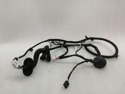 TESLA Tesla Model 3 Long Range RLH Door Wiring 2067965-00-B Rear L Door Harness — thumbnail 4