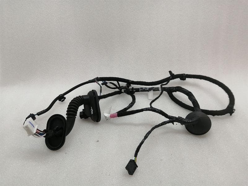 Tesla Model 3 Long Range RLH Door Wiring 2067965-00-B Rear L Door Harness