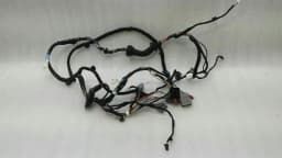 TESLA Tesla Model S 75 Front Right Door Wiring 1004419-00-U Door Front Right Wiring Harness — thumbnail 5