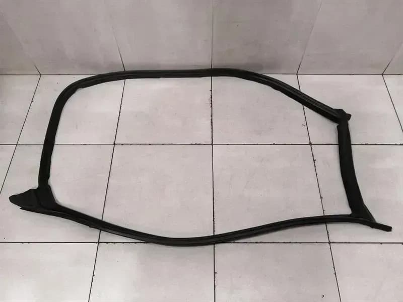 TESLA Tesla Model 3 Front Right Door Seal 1090500-00-L Door Seals Front Right