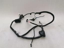 TESLA TESLA MODEL 3 STANDARD RANGE RR DOOR Wiring Loom 2067966-00-A Wiring Harness HR TUR — thumbnail 1