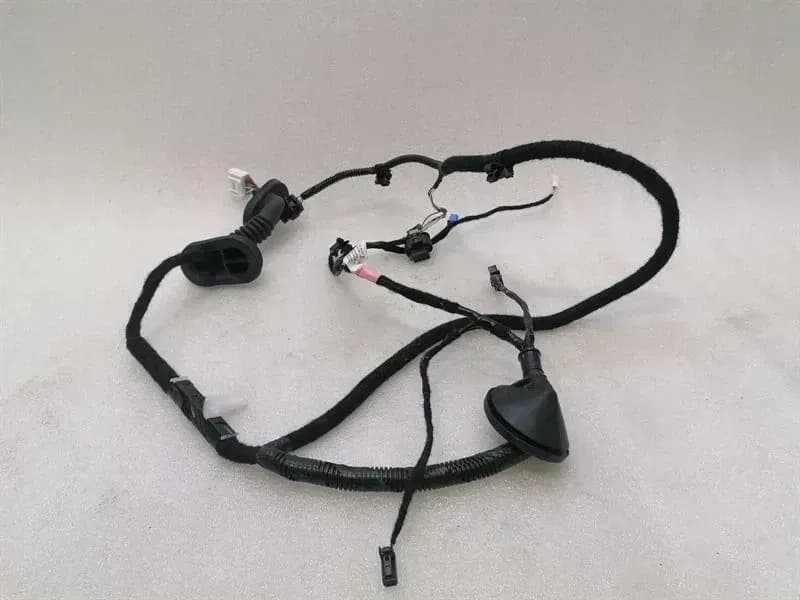 TESLA TESLA MODEL 3 STANDARD RANGE RR DOOR Wiring Loom 2067966-00-A Wiring Harness HR TUR