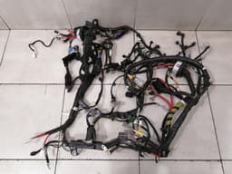 TESLA Tesla Model 3 RWD Front Body Wiring 1567964-08-B Front Wiring Harness — thumbnail 10