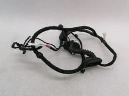 TESLA Tesla Model 3 RRH Door Wiring Loom 2067966-00-B Rear Right Door Harness — thumbnail 1