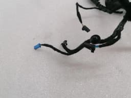 TESLA Tesla Model 3 RRH Door Wiring Loom 2067966-00-B Rear Right Door Harness — thumbnail 5