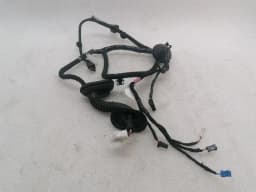 TESLA Tesla Model 3 Long Range RLH Door Wiring 2067965-00-B Rear L Door Harness — thumbnail 2