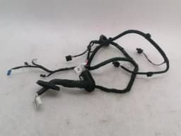 TESLA Tesla Model 3 Long Range RLH Door Wiring 2067965-00-B Rear L Door Harness — thumbnail 1
