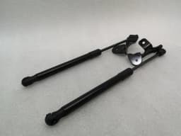 TESLA Tesla Model 3 Long Range Bonnet Strut set 1089586-00-C hood hinge set — thumbnail 2