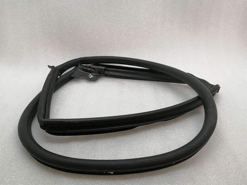 TESLA Tesla Model S 100D Door Seal 6009585-00-I Door Seals REAR LEFT
