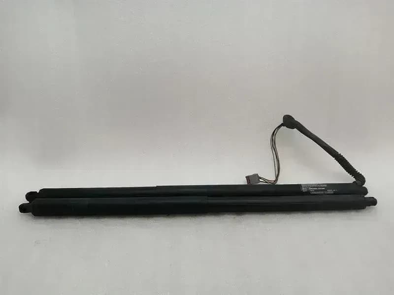 TESLA Tesla Model S 100D Boat Lid Strut SET 6006610-00-C Gas Strut Tailgate SET